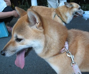 ���т����̂܂�������L�B