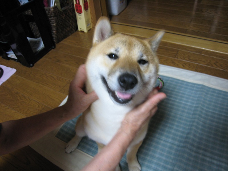 ���т����̂܂�������L�B