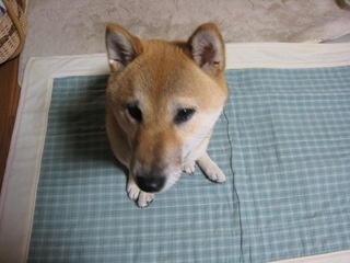 ���т����̂܂�������L�B