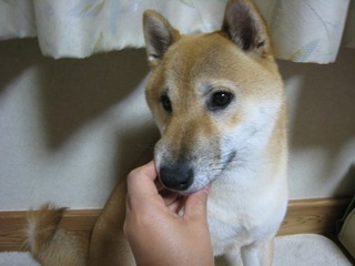 ���т����̂܂�������L�B