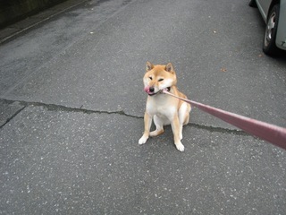 ���т����̂܂�������L�B