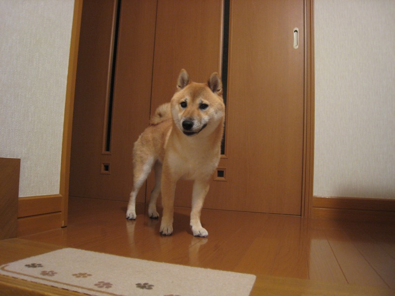 ���т����̂܂�������L�B