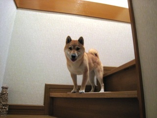 ���т����̂܂�������L�B