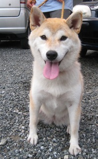 ���т����̂܂�������L�B