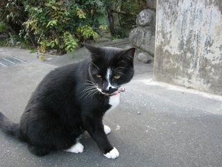 ���т����̂܂�������L�B