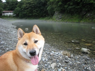 ���т����̂܂�������L�B