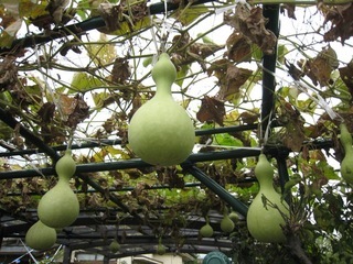 ���т����̂܂�������L�B