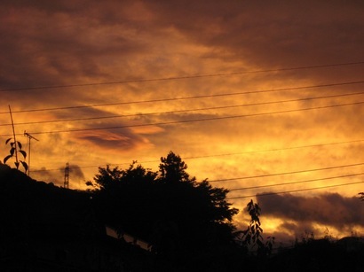 ���т����̂܂�������L�B