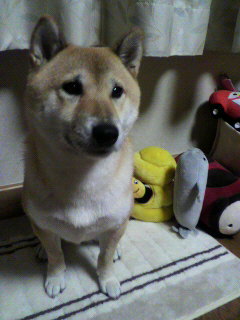 ���т����̂܂�������L�B