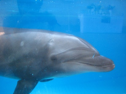 ���т����̂܂�������L�B