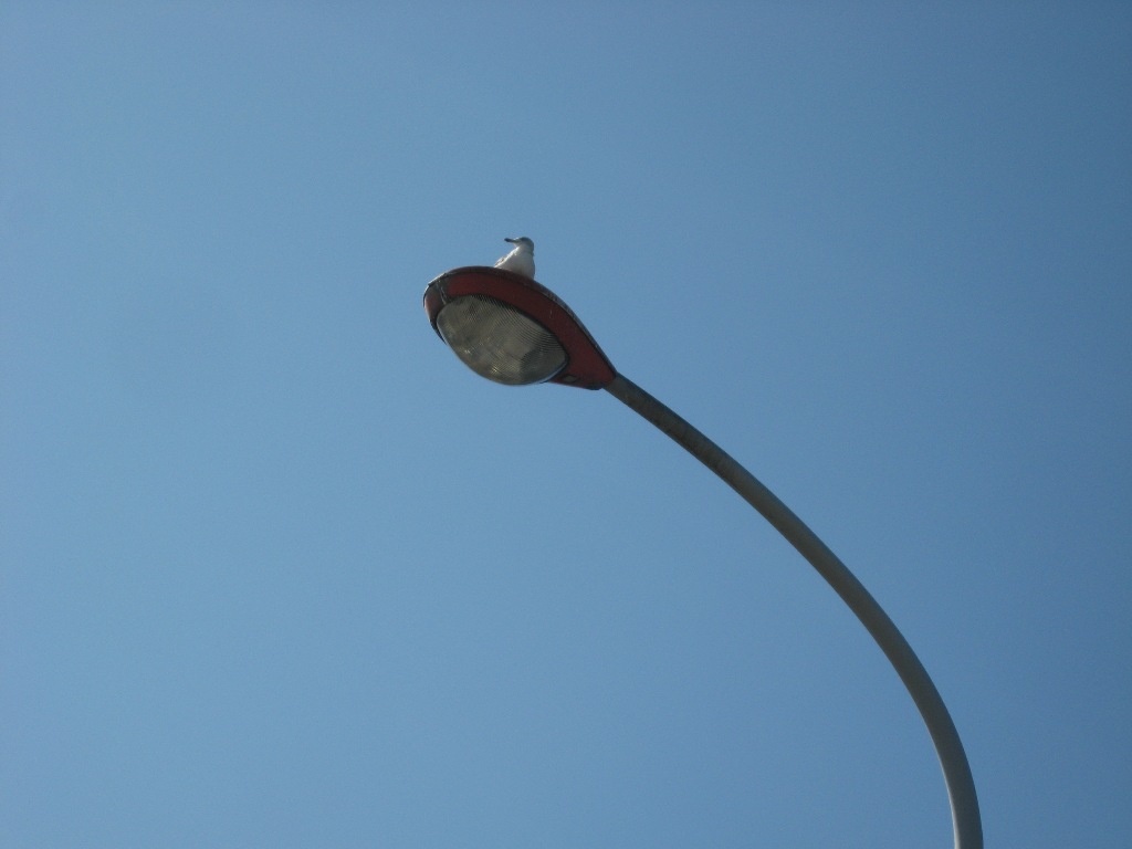 ���т����̂܂�������L�B