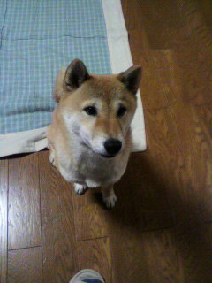 ���т����̂܂�������L�B