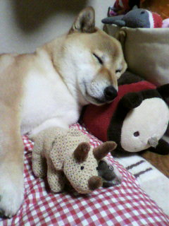 ���т����̂܂�������L�B