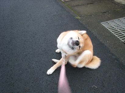 ���т����̂܂�������L�B