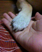 ���т����̂܂�������L�B