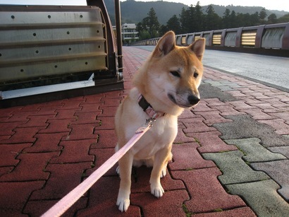 ���т����̂܂�������L�B