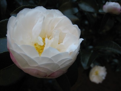 ���т����̂܂�������L�B