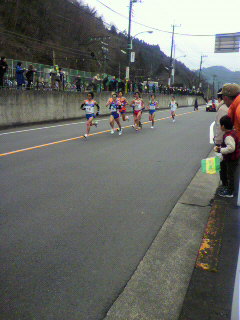 ���т����̂܂�������L�B