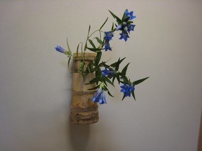 ���т����̂܂�������L�B