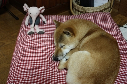 ���т����̂܂�������L�B