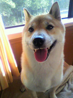 ���т����̂܂�������L�B