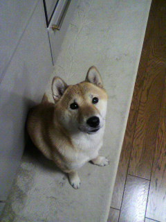 ���т����̂܂�������L�B