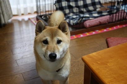 ���т����̂܂�������L�B