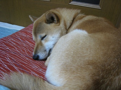 ���т����̂܂�������L�B