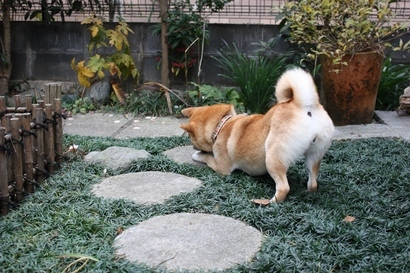 ���т����̂܂�������L�B