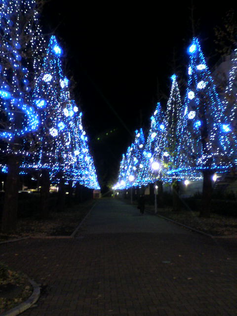 ���т����̂܂�������L�B