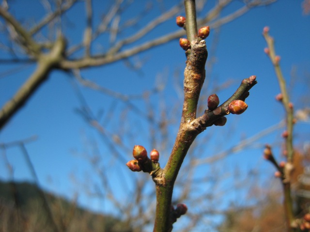 ���т����̂܂�������L�B