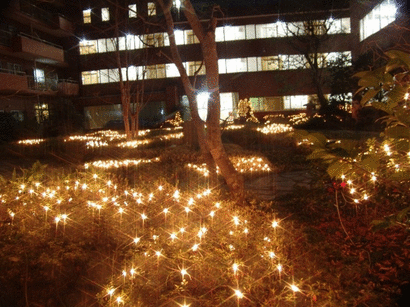 ���т����̂܂�������L�B