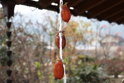 ���т����̂܂�������L�B