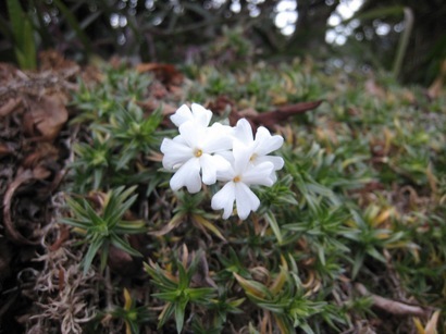 ���т����̂܂�������L�B