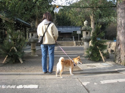 ���т����̂܂�������L�B