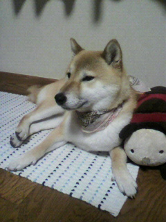 ���т����̂܂�������L�B