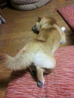 ���т����̂܂�������L�B