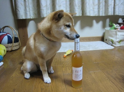 ���т����̂܂�������L�B