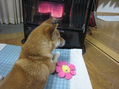 ���т����̂܂�������L�B