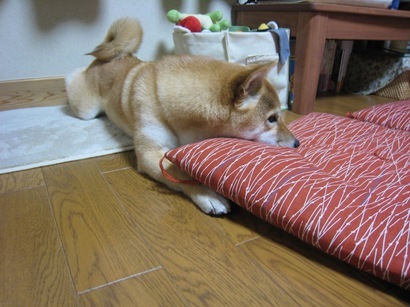 ���т����̂܂�������L�B