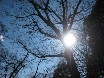 ���т����̂܂�������L�B