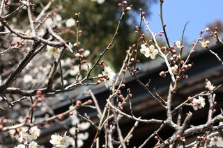 ���т����̂܂�������L�B