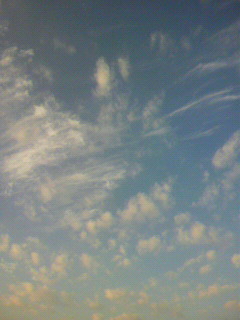 ���т����̂܂�������L�B