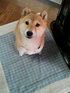 ���т����̂܂�������L�B