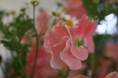 ���т����̂܂�������L�B