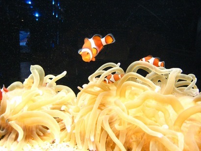 ���т����̂܂�������L�B