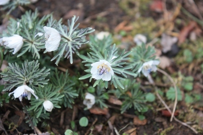 ���т����̂܂�������L�B