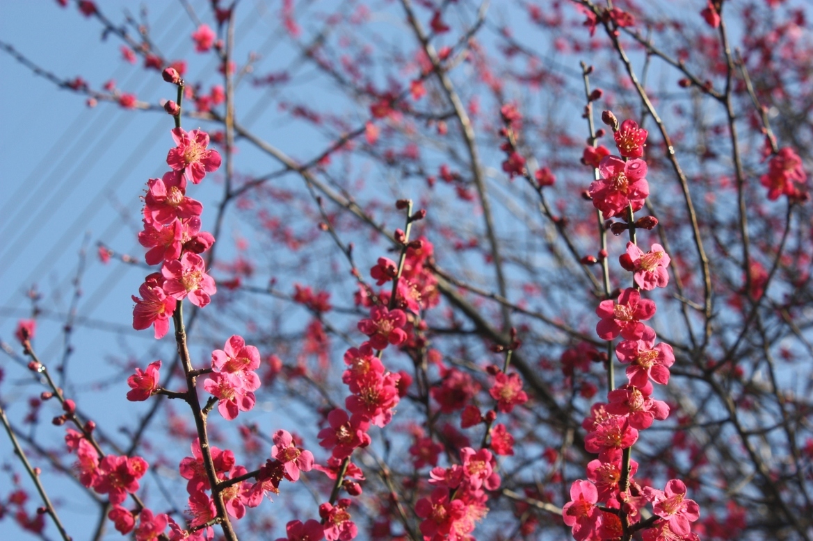 ���т����̂܂�������L�B