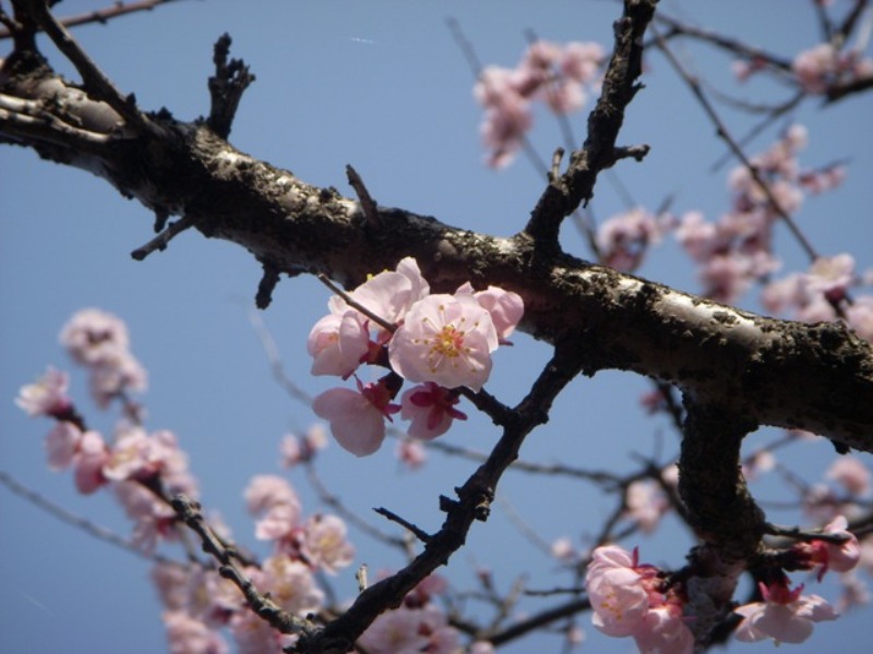 ���т����̂܂�������L�B