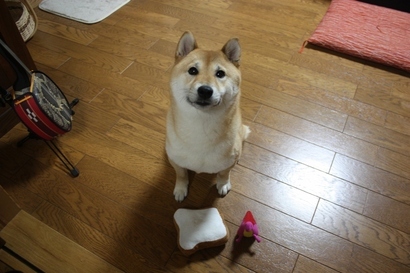 ���т����̂܂�������L�B